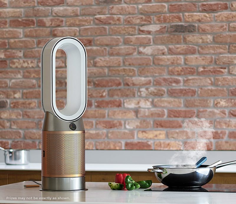 STRSAB22 Prizes Cash and More Dyson Purifier txt img comp 599x517